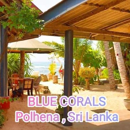Blue Corals Beach Bungalow 마타라 외부 사진