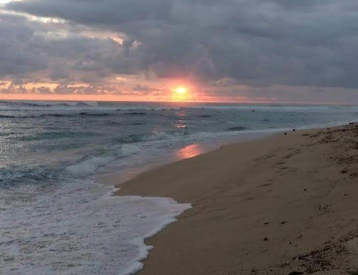 Blue Corals Beach Bungalow 마타라 외부 사진