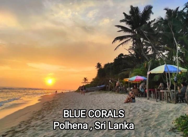 Blue Corals Beach Bungalow 마타라 외부 사진