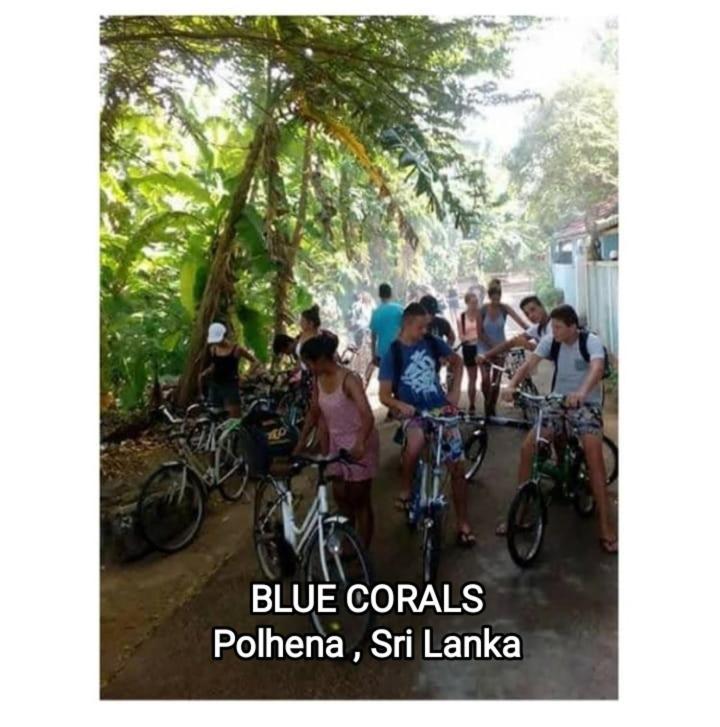 Blue Corals Beach Bungalow 마타라 외부 사진
