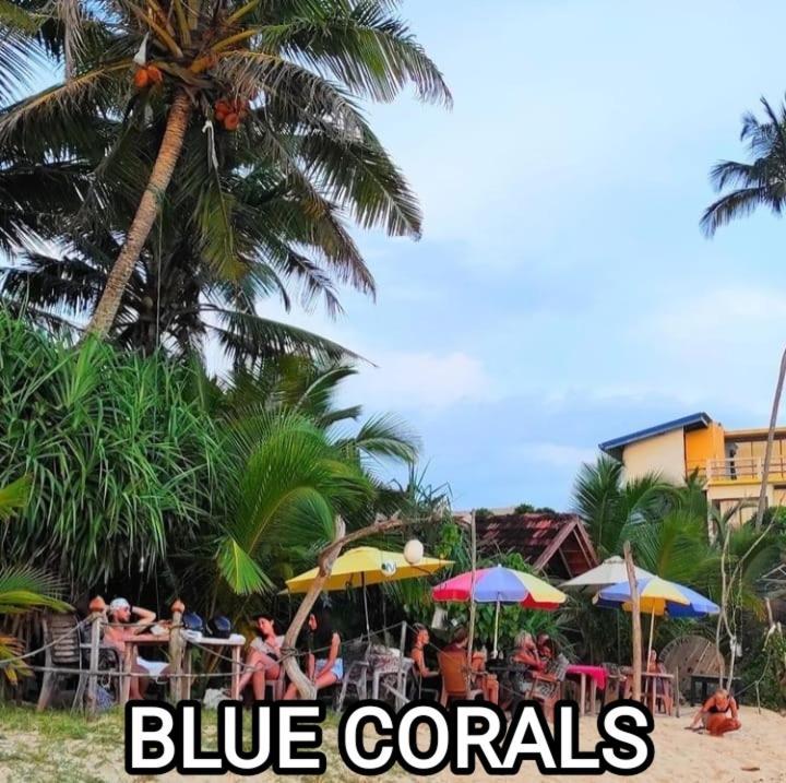 Blue Corals Beach Bungalow 마타라 외부 사진