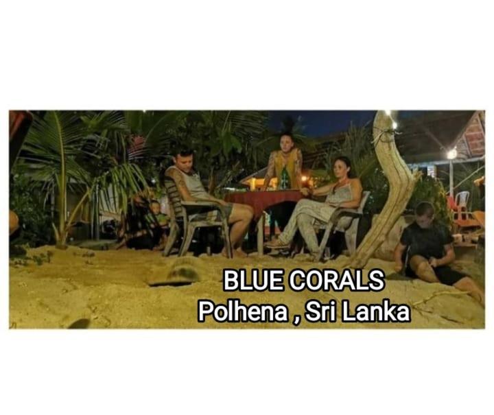 Blue Corals Beach Bungalow 마타라 외부 사진