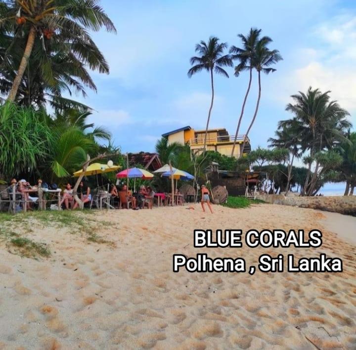 Blue Corals Beach Bungalow 마타라 외부 사진