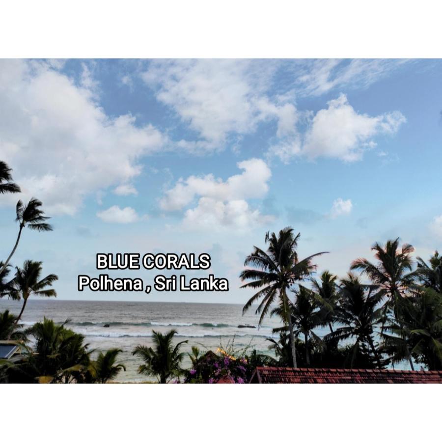 Blue Corals Beach Bungalow 마타라 외부 사진