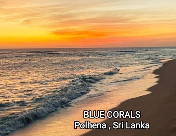Blue Corals Beach Bungalow 마타라 외부 사진