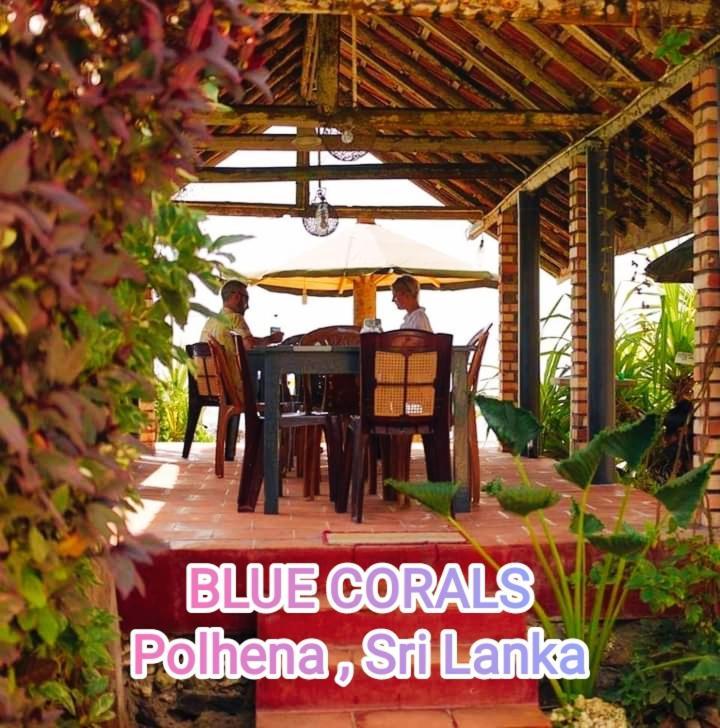 Blue Corals Beach Bungalow 마타라 외부 사진