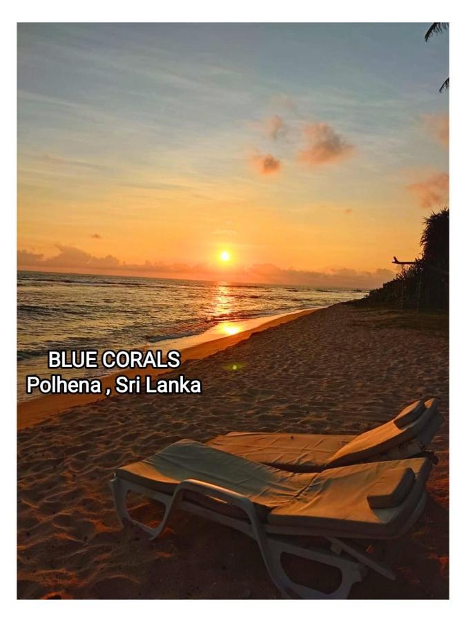 Blue Corals Beach Bungalow 마타라 외부 사진