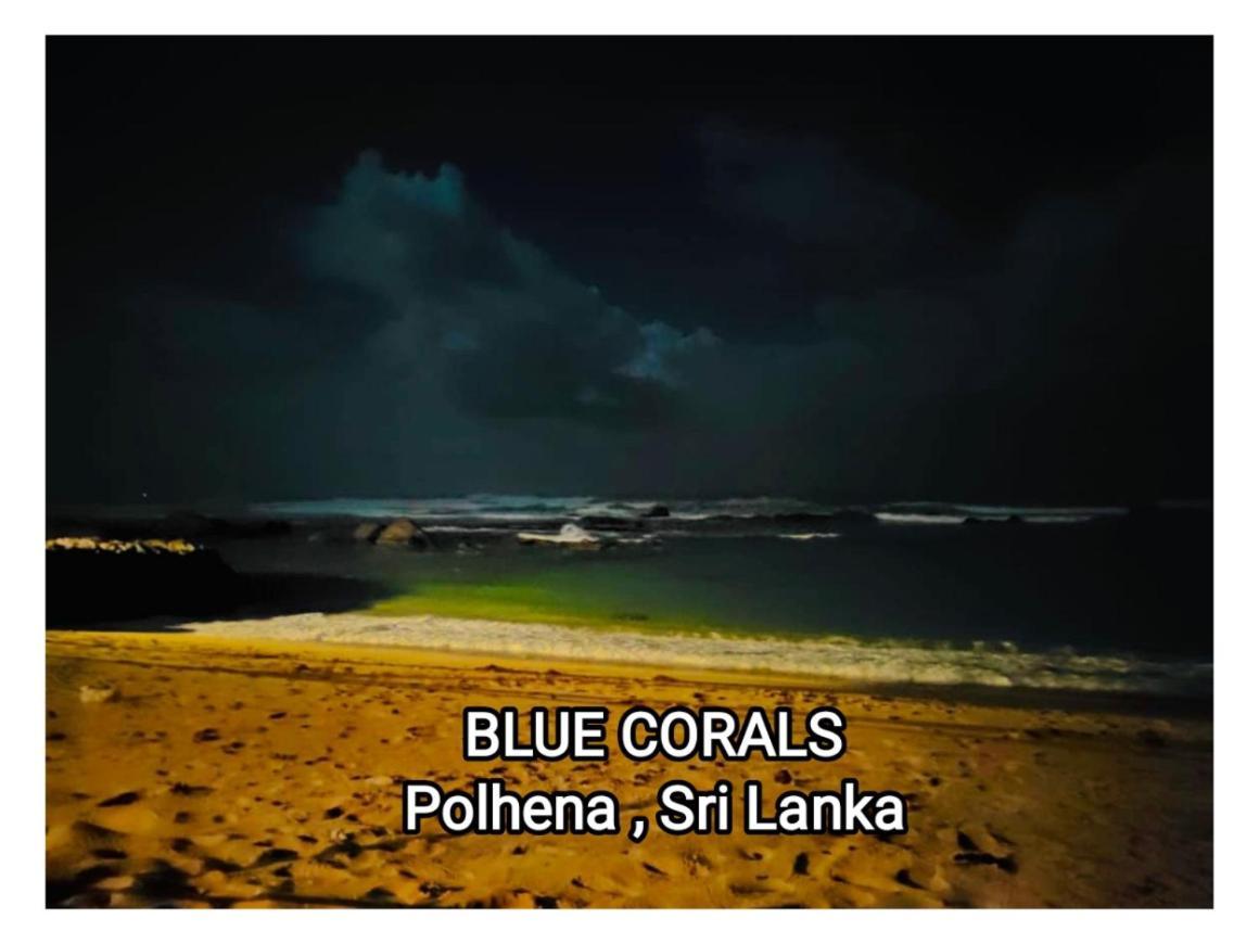 Blue Corals Beach Bungalow 마타라 외부 사진