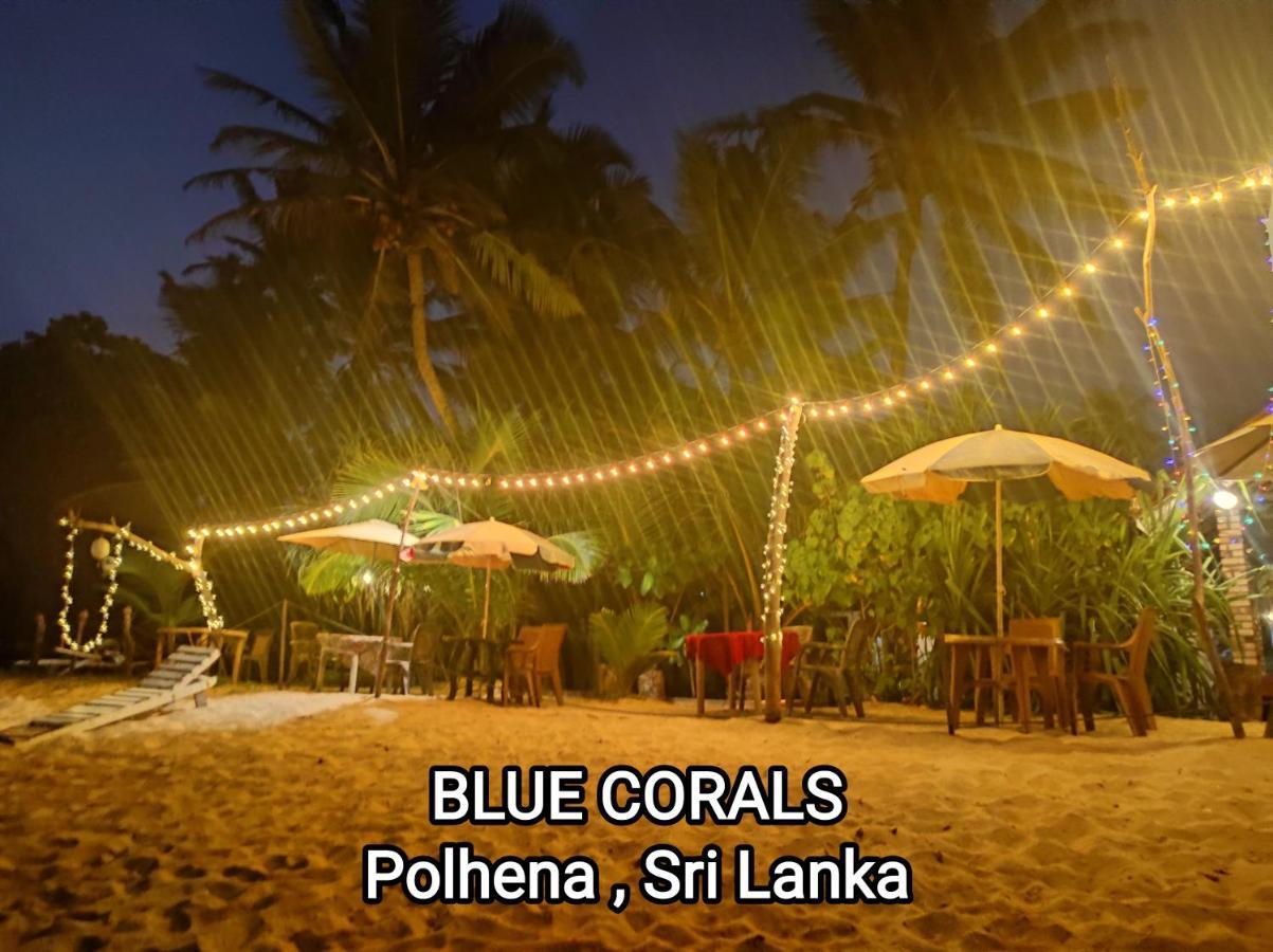 Blue Corals Beach Bungalow 마타라 외부 사진