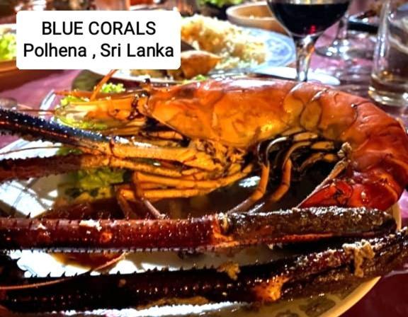 Blue Corals Beach Bungalow 마타라 외부 사진