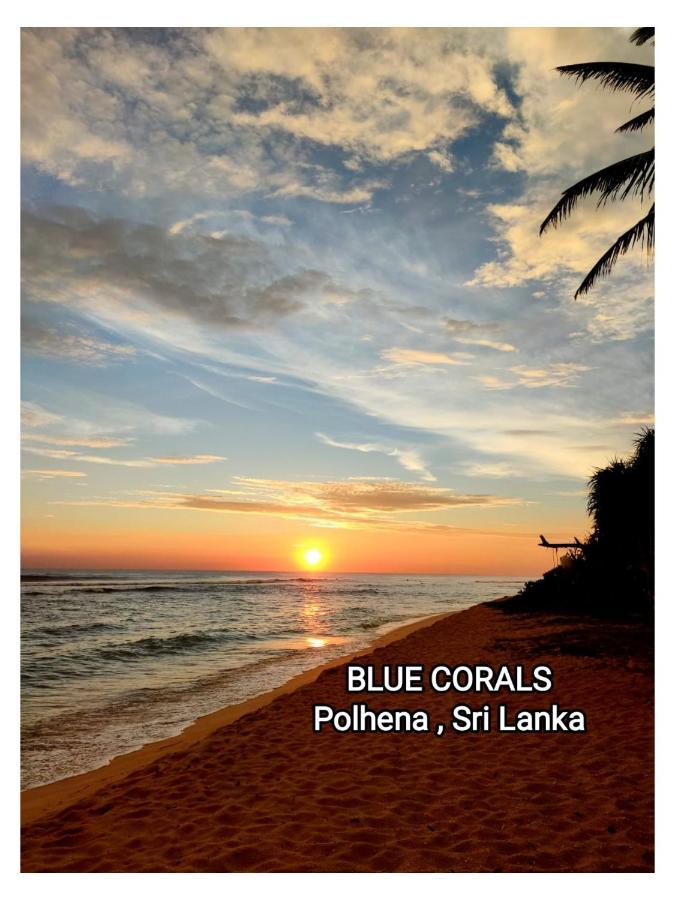 Blue Corals Beach Bungalow 마타라 외부 사진