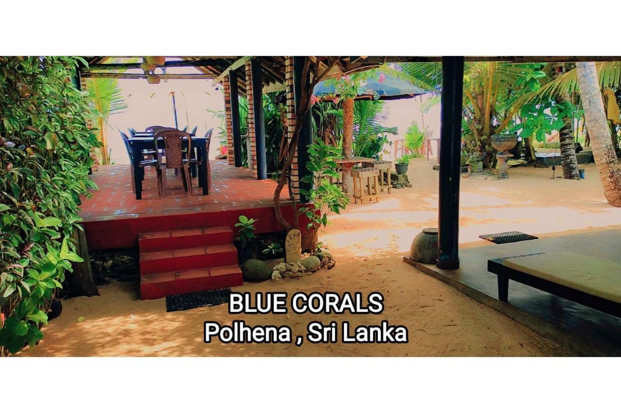 Blue Corals Beach Bungalow 마타라 외부 사진