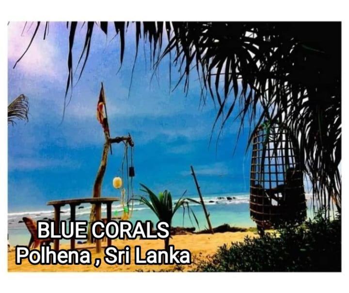 Blue Corals Beach Bungalow 마타라 외부 사진