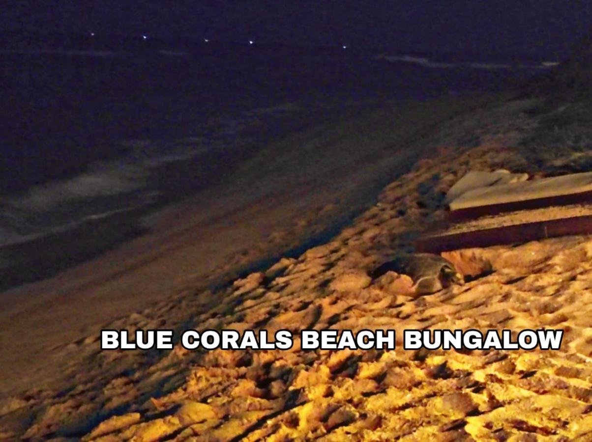 Blue Corals Beach Bungalow 마타라 외부 사진